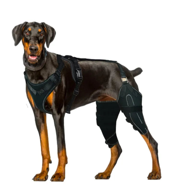 Black dog thigh protective sleeve with adjustable metal support for postoperative recovery in three sizes