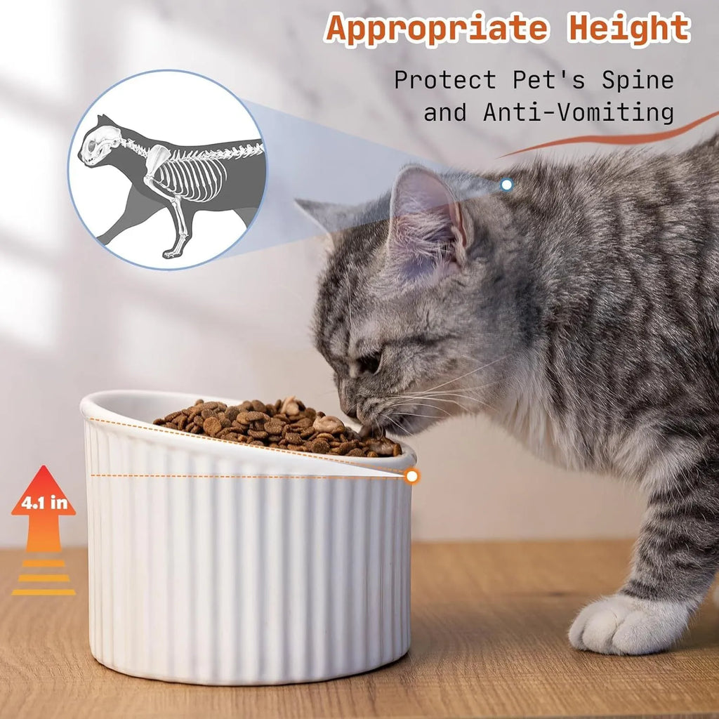 Dark green ceramic raised cat bowl with tilted design on a wooden surface.