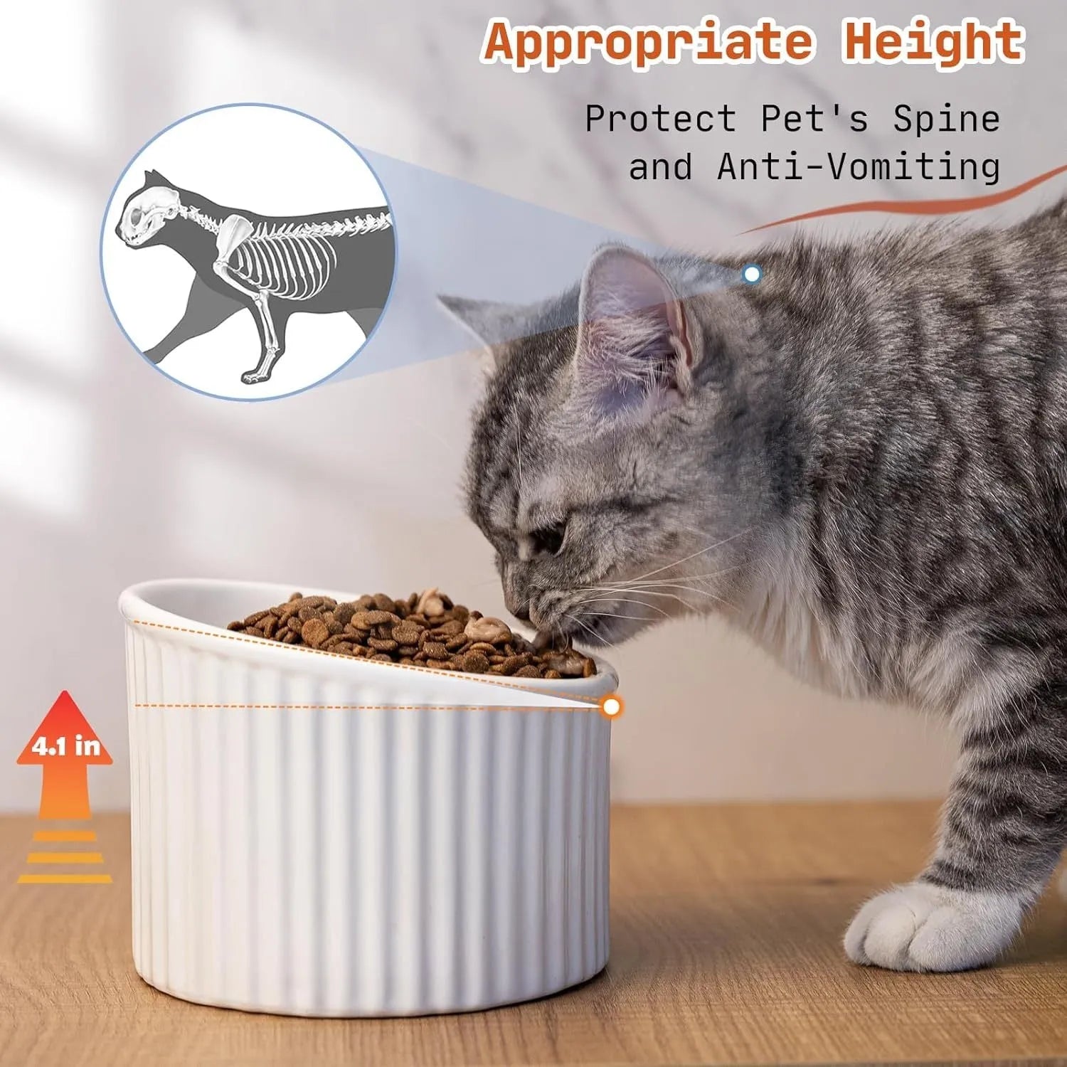 Dark green ceramic raised cat bowl with tilted design on a wooden surface.