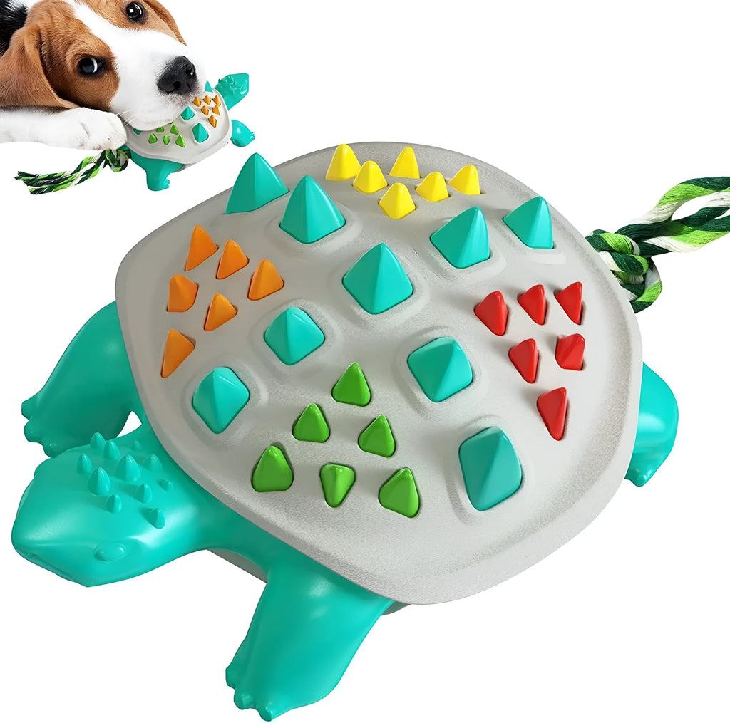 Natural rubber dog toothbrush chew toy in assorted colours with a knot tail for tug-of-war.