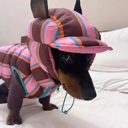 Dirty pink striped pet vest with matching hat for autumn and winter wear on small dog