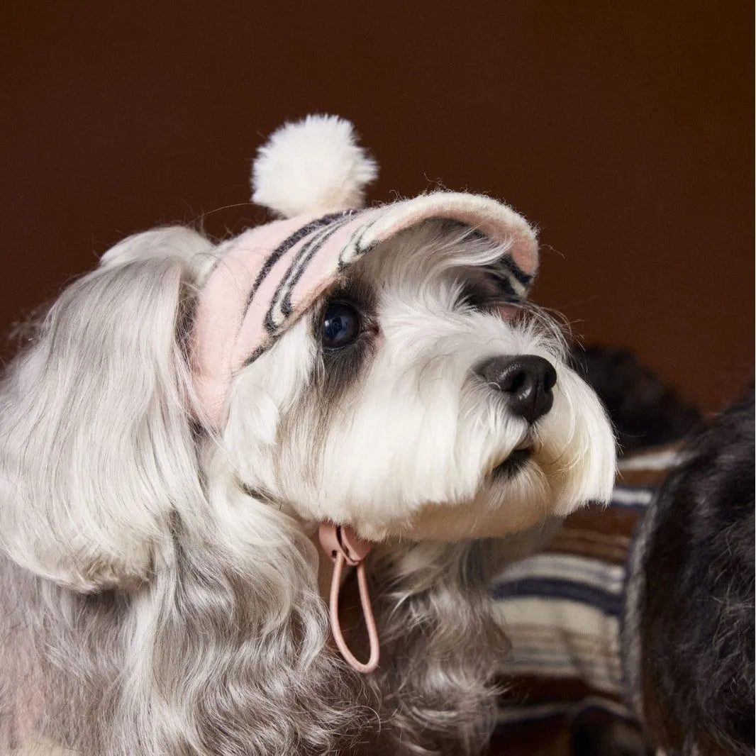 Striped fur ball pet hat for dogs in coffee colour, acrylic knit casual autumn accessory