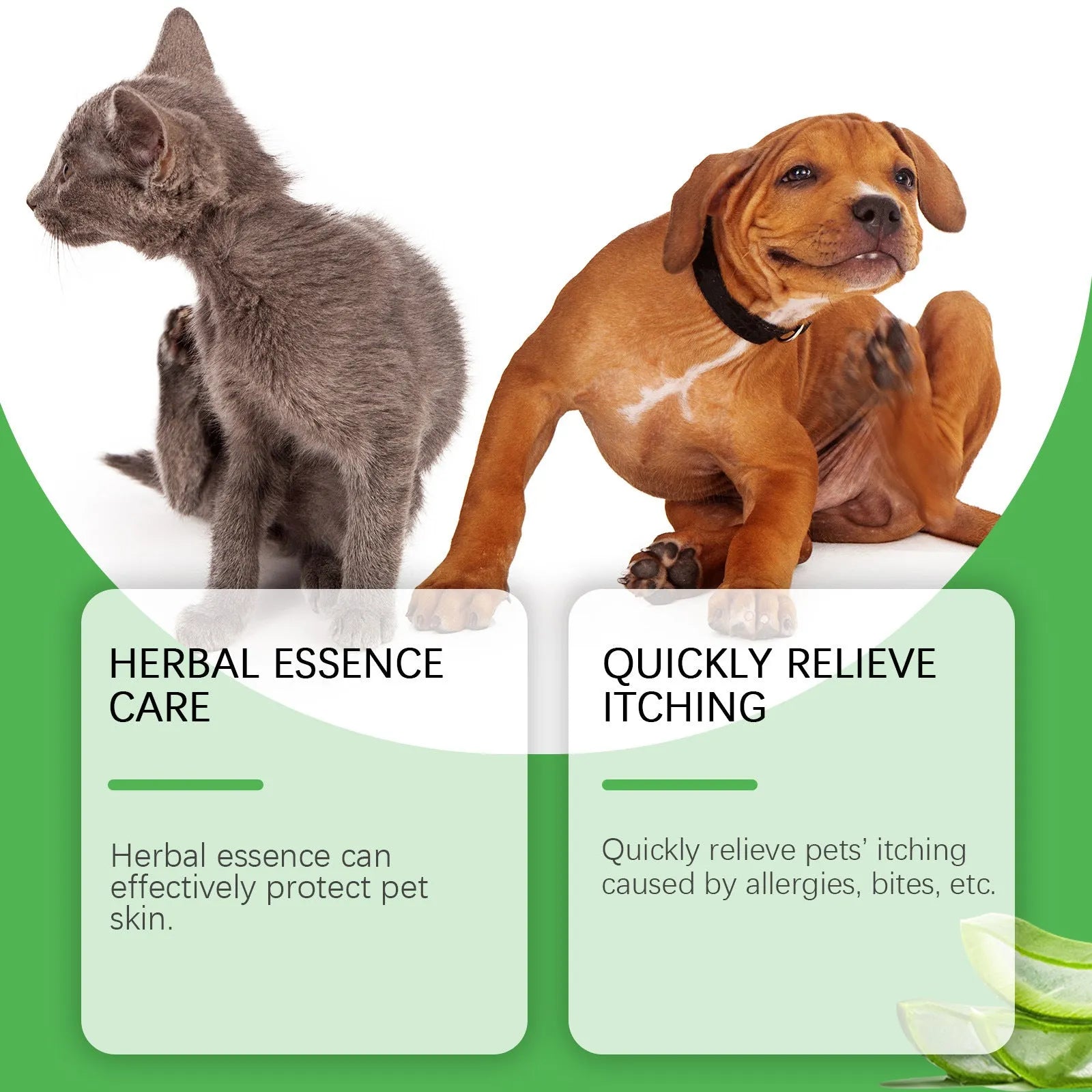 60g tube of pet antipruritic cream for cats with tea tree oil and aloe vera extracts