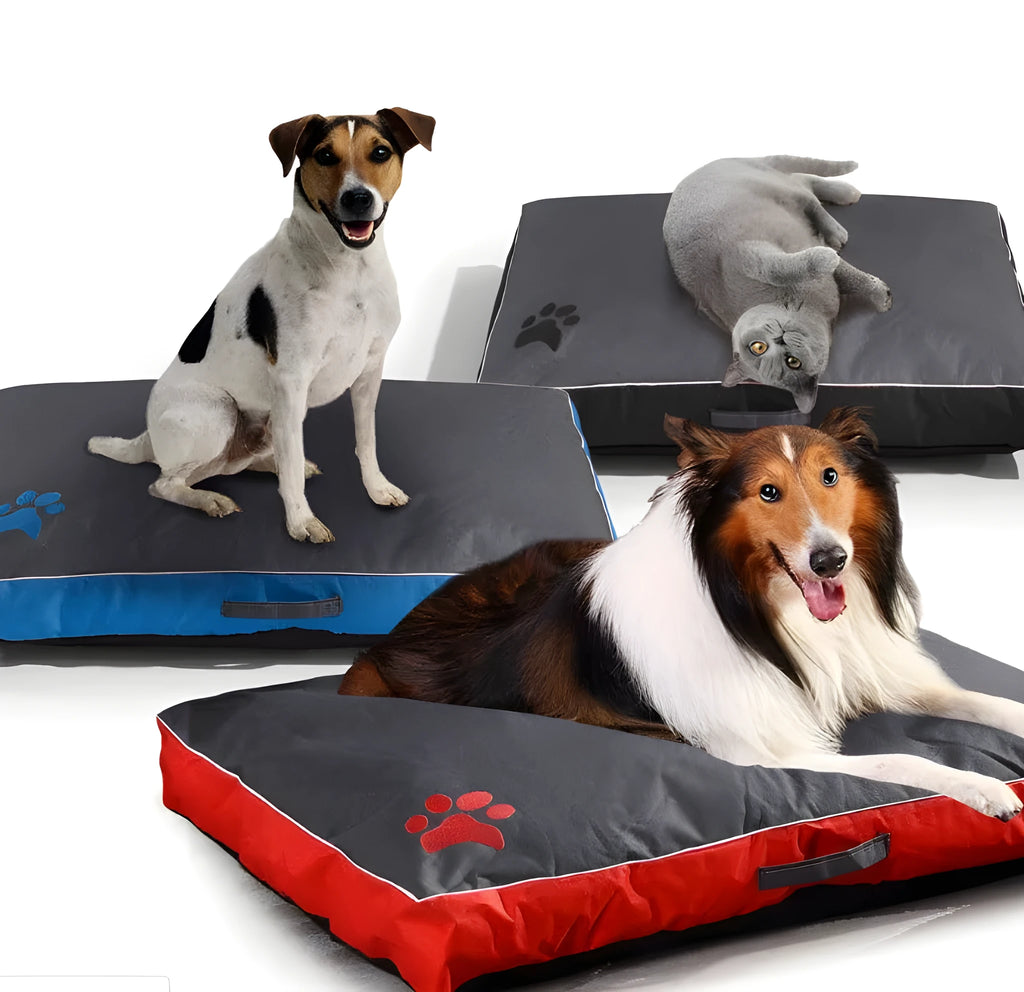 Waterproof Oxford cloth dog bed with removable washable cover and non-slip bottom, red blue black, sizes M to XXL