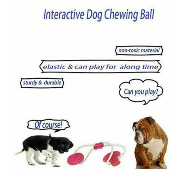 Dog biting sucker multifunction pet molar bite toy with rubber, TPR, and cotton fibre rope in red, blue, or green