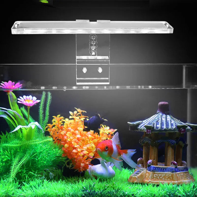 Thin transparent LED fish tank light with acrylic body and touch switch on 10mm tank wall