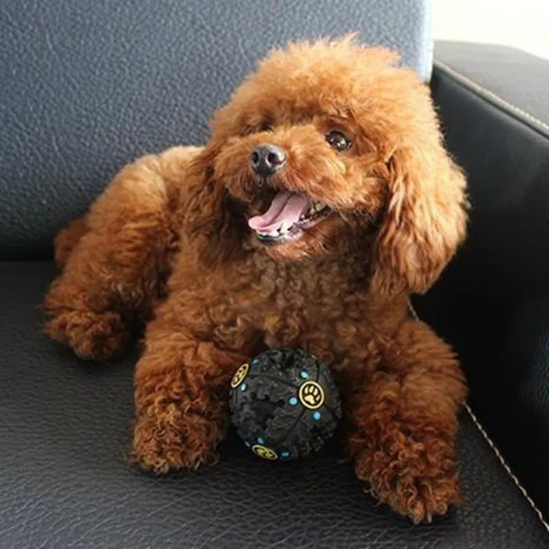 Paw Prime Tricky Treat Ball in blue with a dog playing nearby, available in three sizes