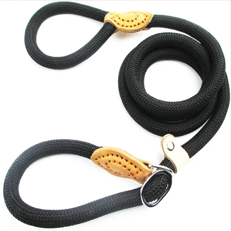 Brown nylon dog leash with P-chain attachment measuring 2.1 metres long