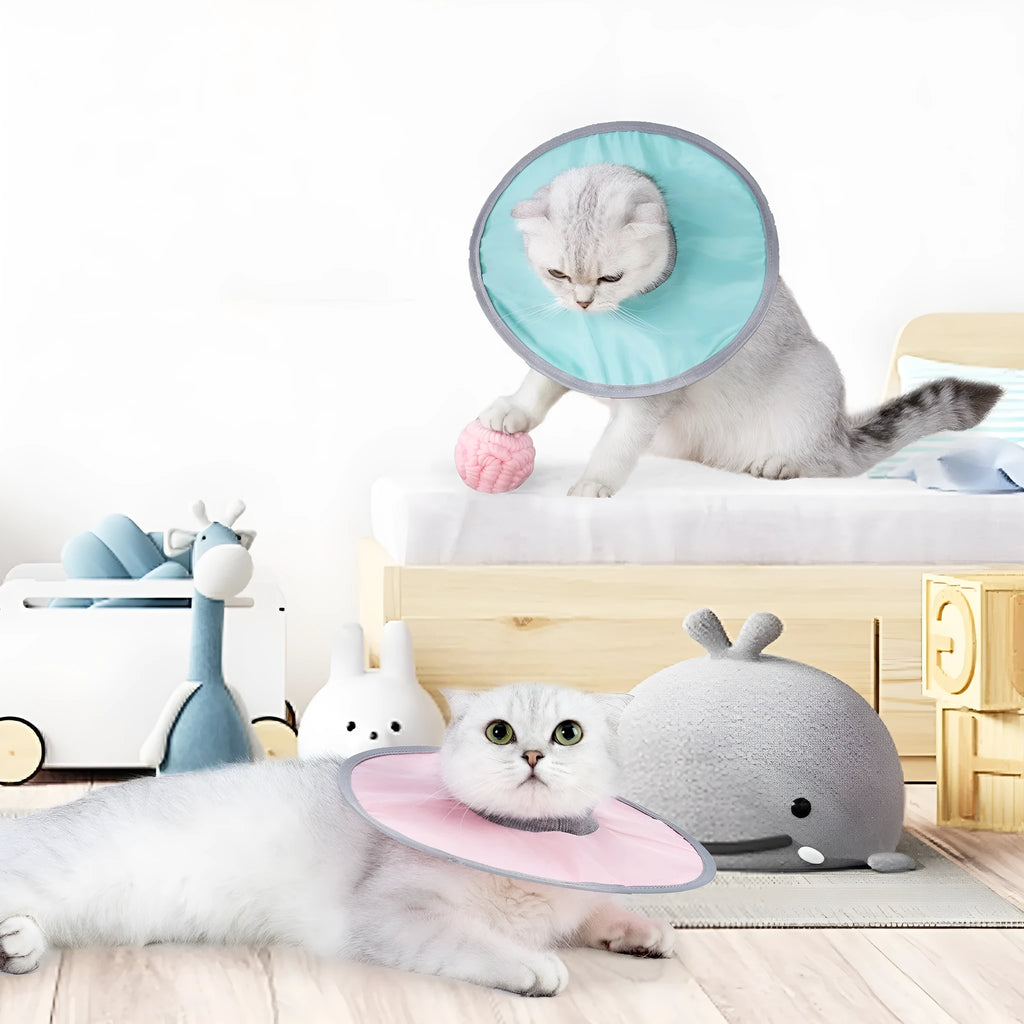 Cloth circle collar cat collar made from polyester in light blue colour, size M
