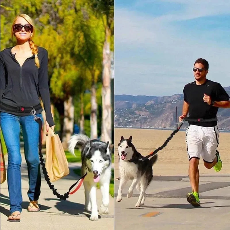 Adjustable nylon pet leash in fluorescent green, orange, or light blue, one size, for walking and jogging.