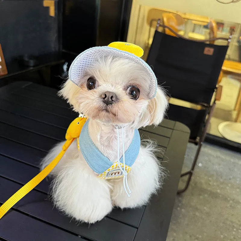 Three-piece pet harness and leash set with rope toy and hat in adjustable sizes for dogs and cats
