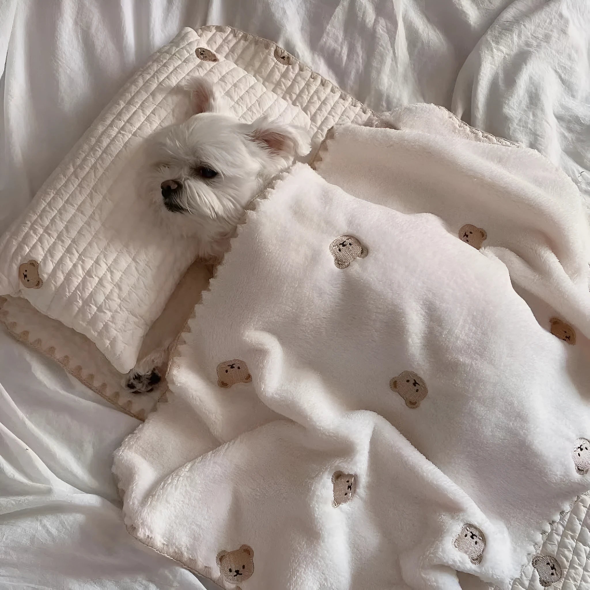 Fashion square mat removable washable dog bed set with bear pattern in polyester fabric