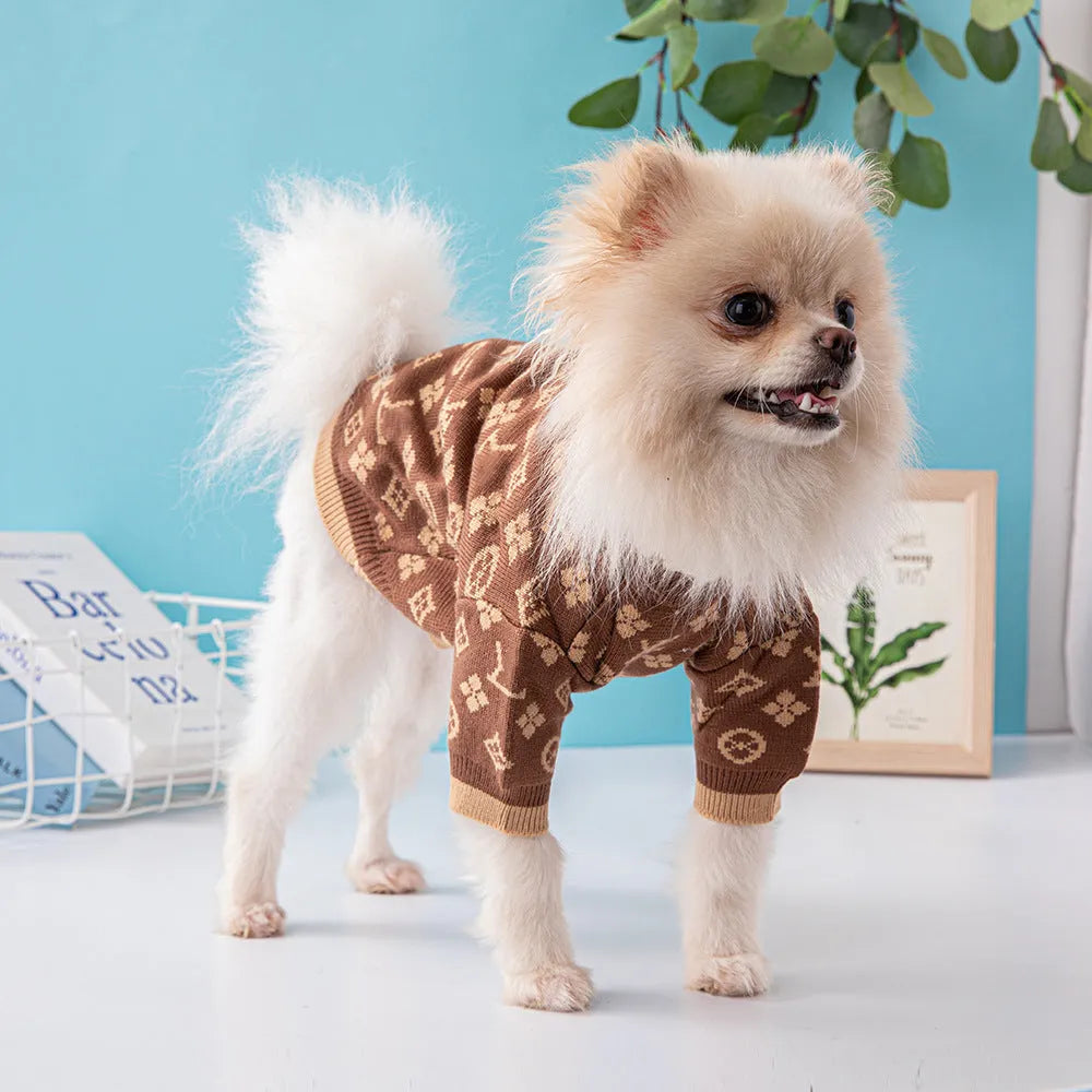 A dog wearing a thick wool jumper in a two-tone colour, suitable for autumn and winter.