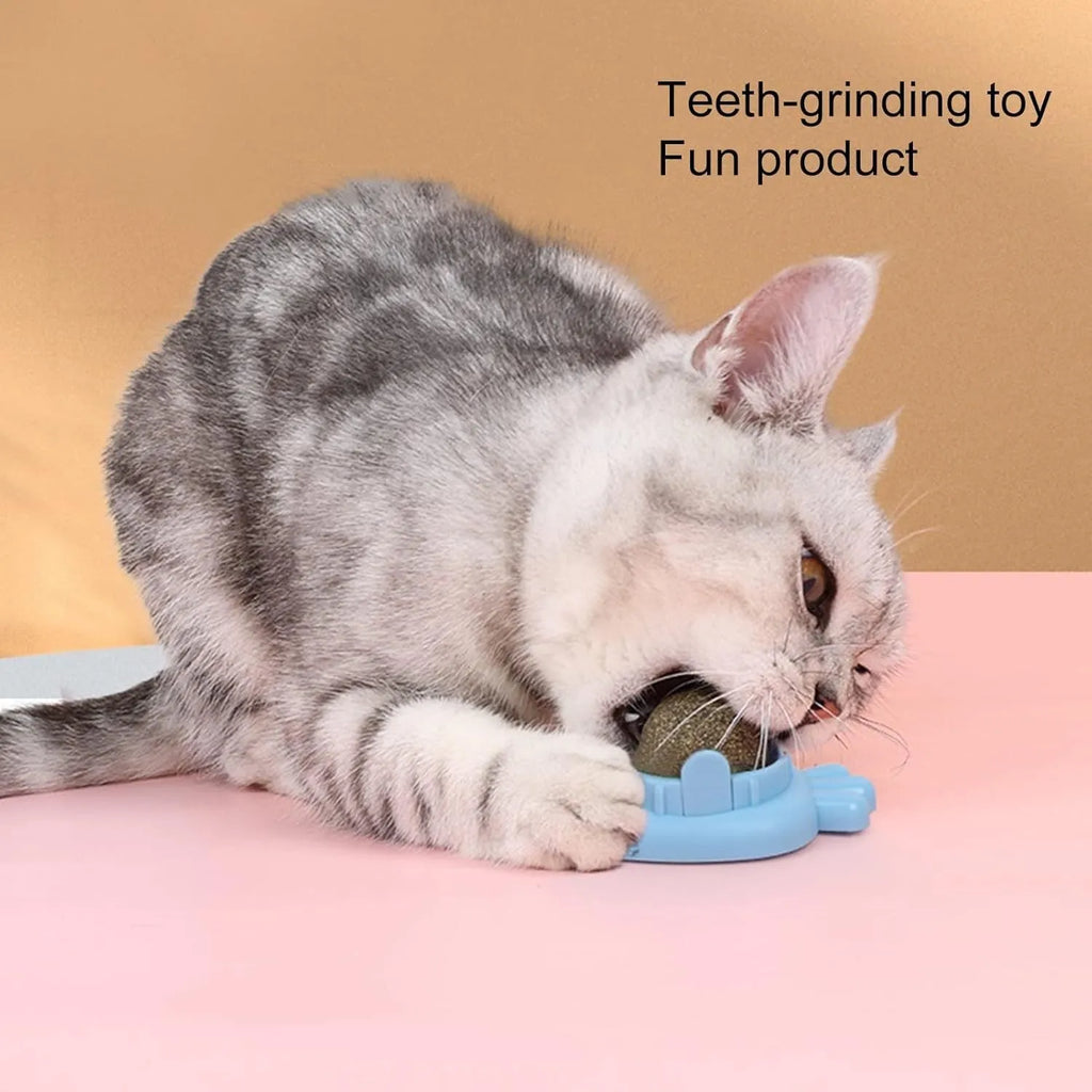 Blue carrot-shaped catnip ball with adhesive back for wall mounting and feline dental cleaning