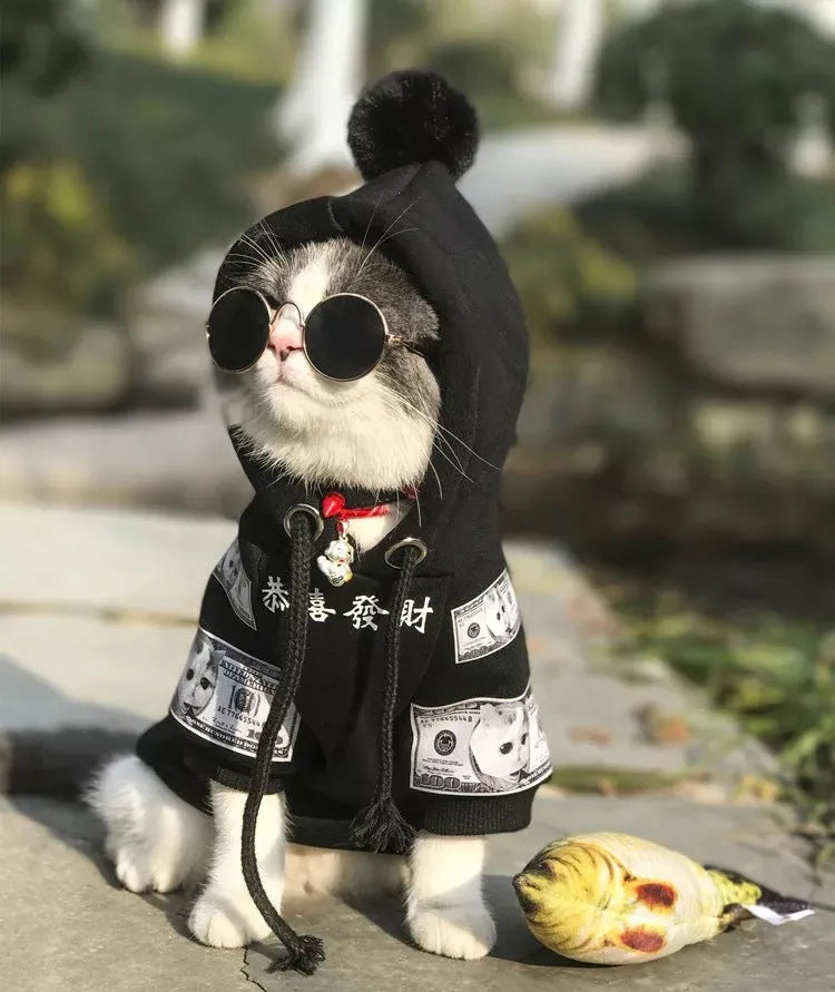 Pure cotton plus fleece pet sweater for cats and dogs in red colour, casual style