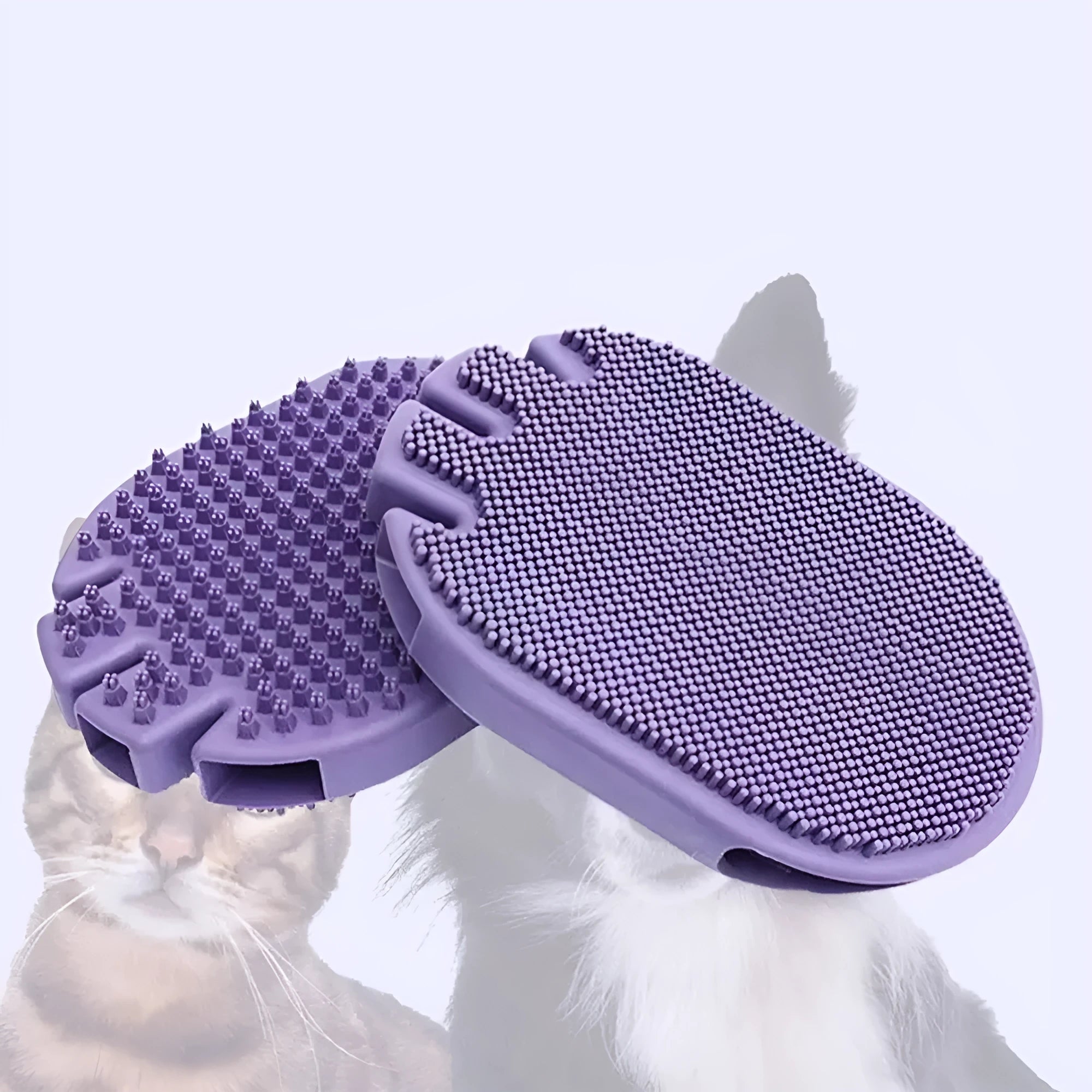 Purple TPR pet shampoo massage brush with dual-sided bristles for dog and cat grooming
