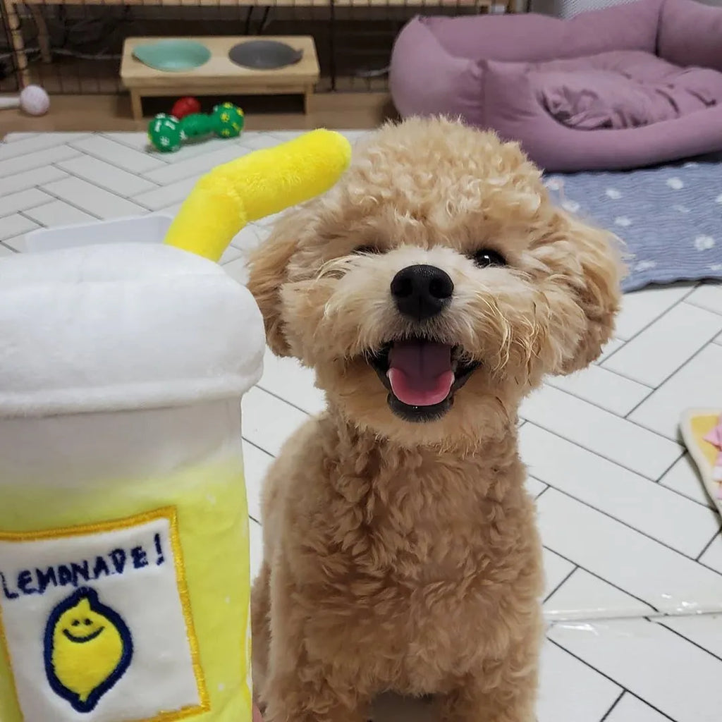 Yellow plush lemon tea cup pet toy with BB call and side snack pocket