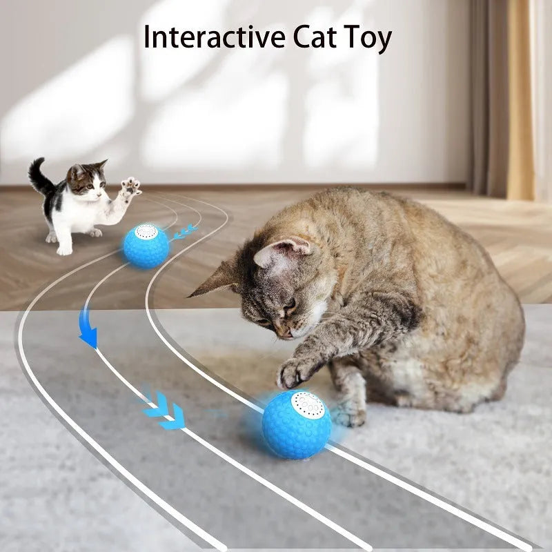 Remote control and colourful plastic ball cat toy with rolling and sound features for interactive play.
