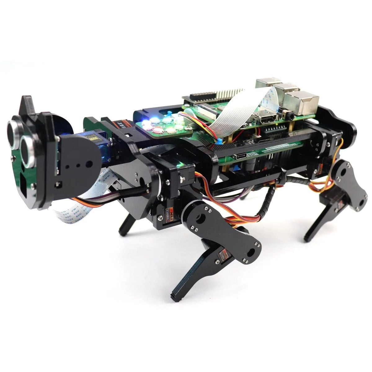 Raspberry Pi robot dog with face recognition for programming