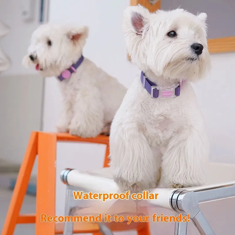 Nylon dog collar and leash set with hand-holding rope in rose pink colour on a grey background.