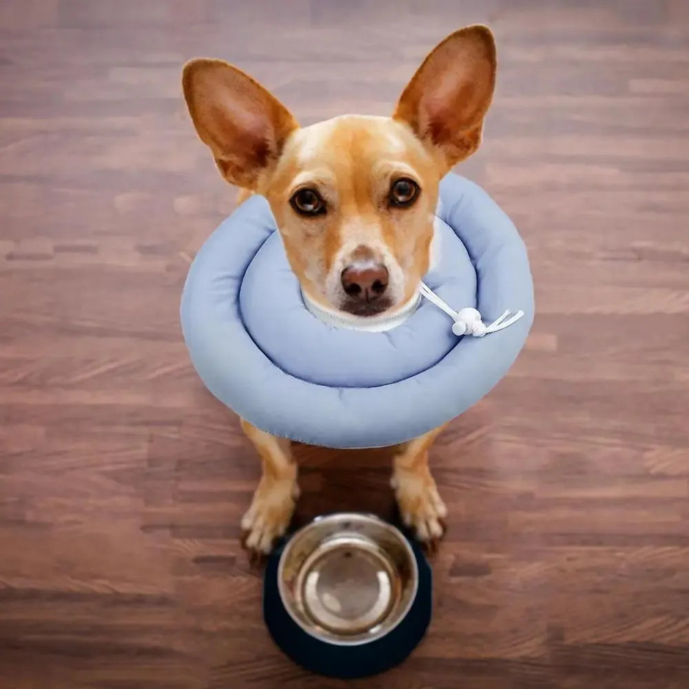 Blue adjustable Elizabethan recovery collar for dog or cat with spring buckle.