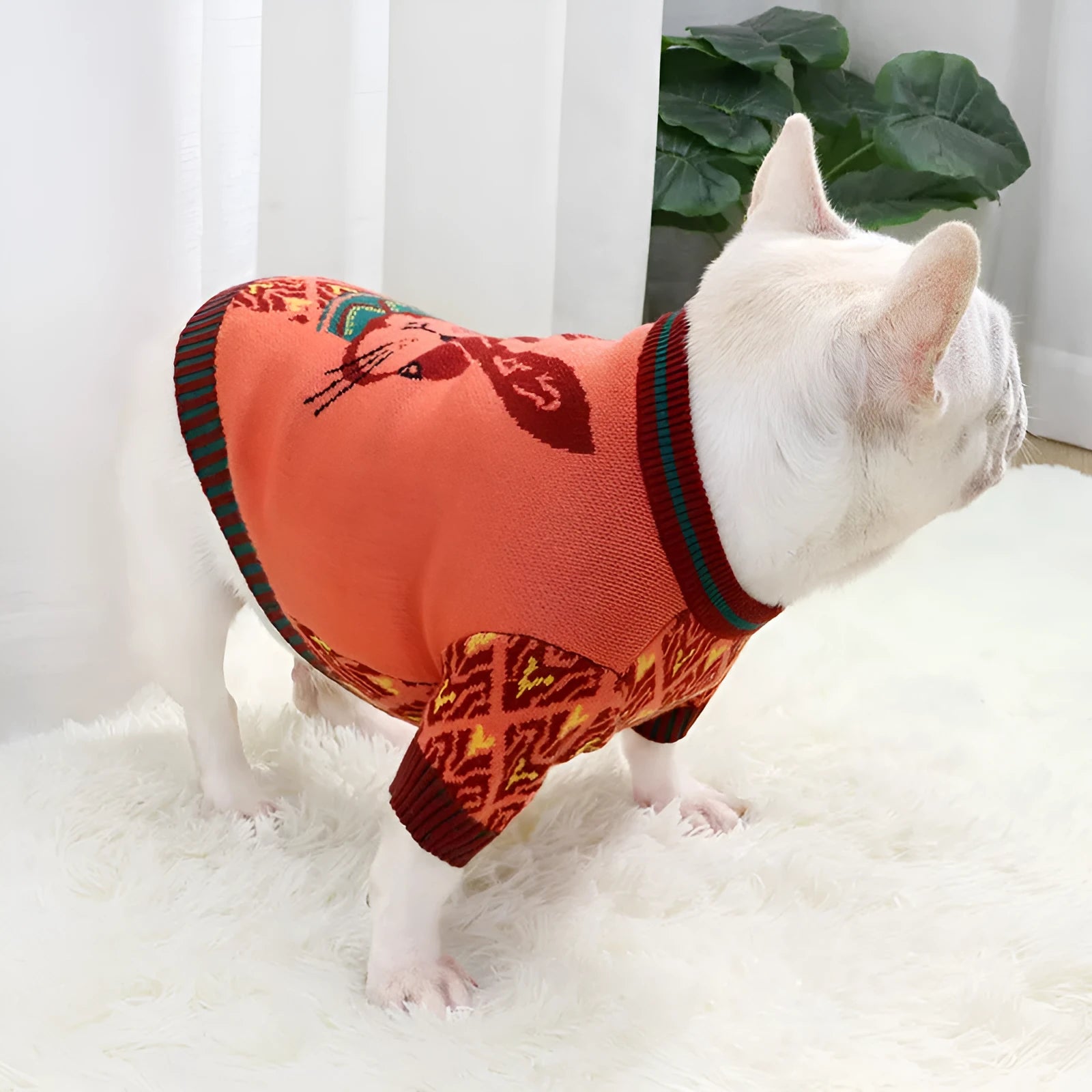 Cartoon-themed dog sweater with button fastening in wool material for autumn and winter