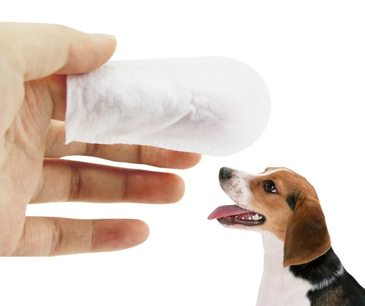 Finger sleeve pet wipes box for cleaning teeth, eyes and ears, 50 or 100 pieces, 8.2cm x 5.8cm x 8.5cm