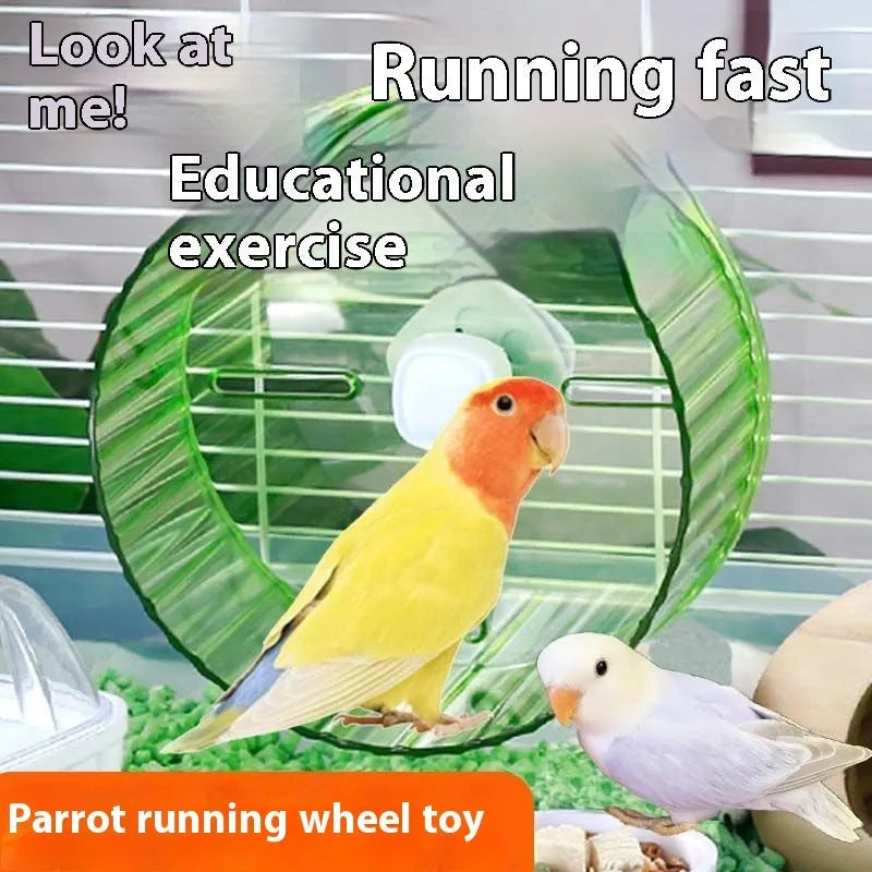 A transparent plastic parrot running wheel exercise toy with a 21cm diameter, mounted on cage bars.