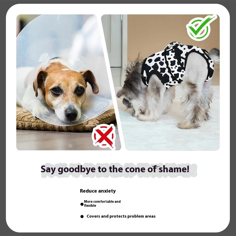 Black polyester pet recovery suit anti-licking garment for dogs and cats after surgery