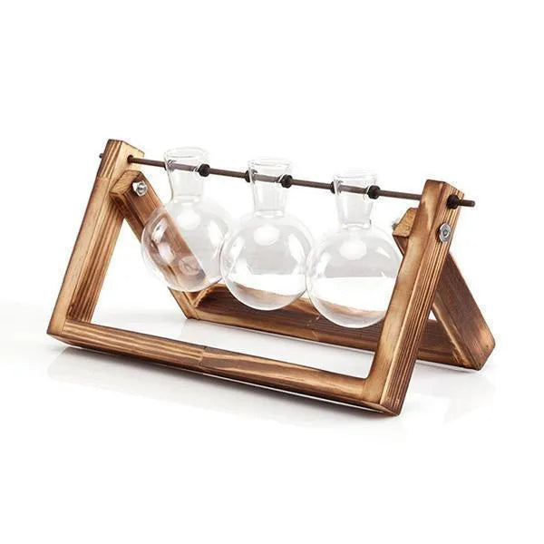 Glass terrarium plant container with wooden stand featuring one geometric glass ball in a Chinese style for desk decoration