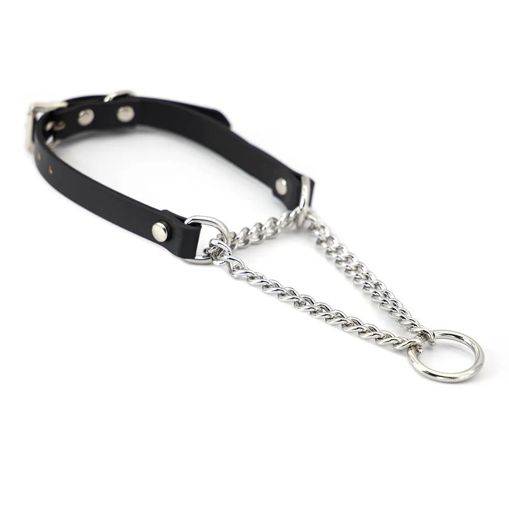Black leather dog collar and matching leash with a rope hand grip.
