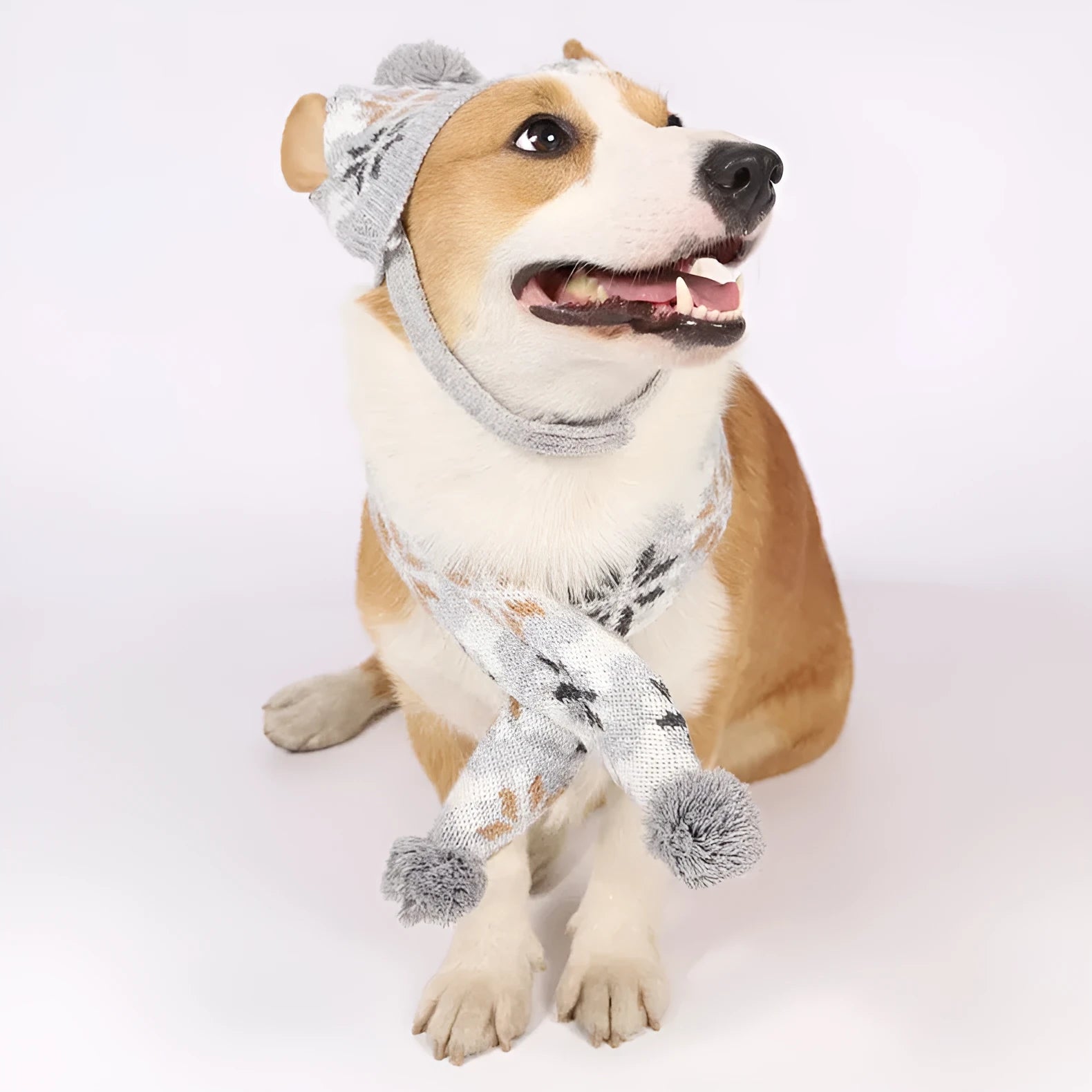 Japanese-style retro jacquard pet sweater and matching scarf hat set in pink or grey colours