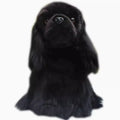 Black simulated cocker dog plush doll, 27cm from nose to buttocks, with PP cotton filling