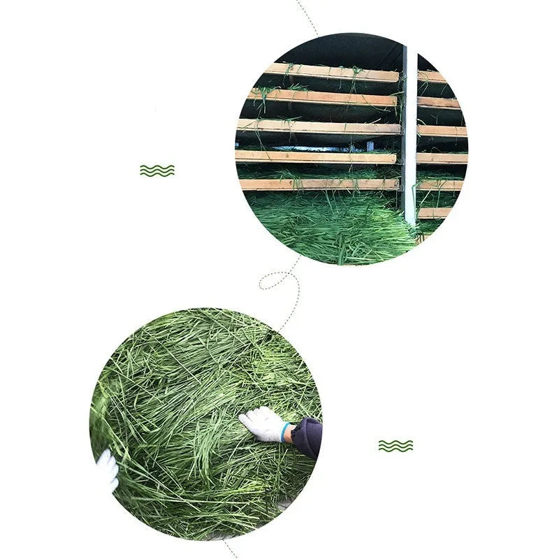 Dried Timothy grass hay 1kg gross 0.68kg net for rabbits, chinchillas, and guinea pigs