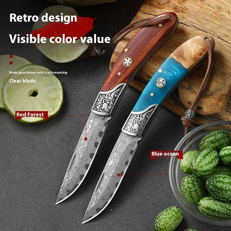 VG10 stainless steel folding pocket knife with dovetail pattern handle in blue or red colour