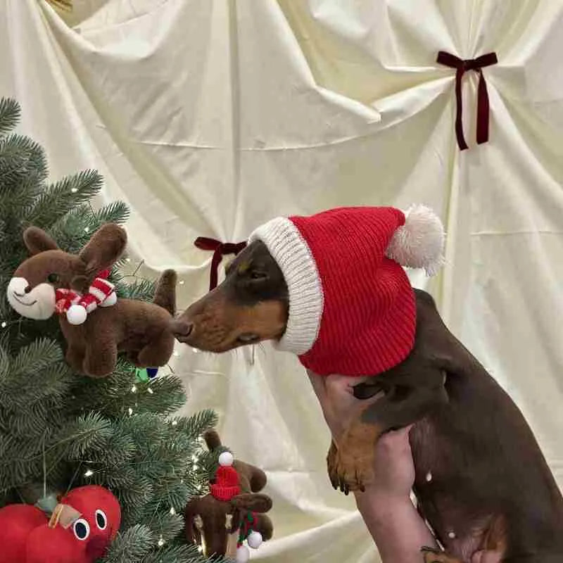 Red plush Christmas Dachshund hat pet disguise cap with scarf Little Red Riding Hood style for dogs