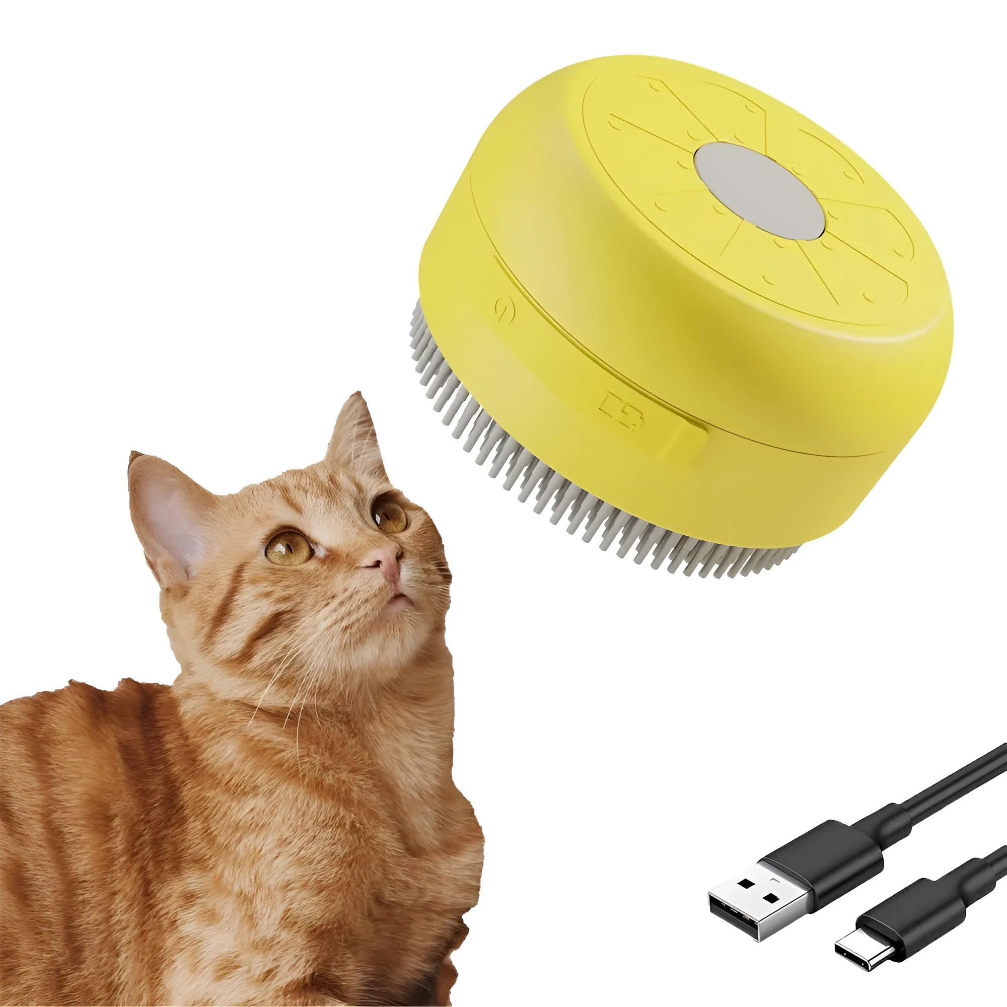 Green rechargeable cat steam brush with silicone bristles on a table.