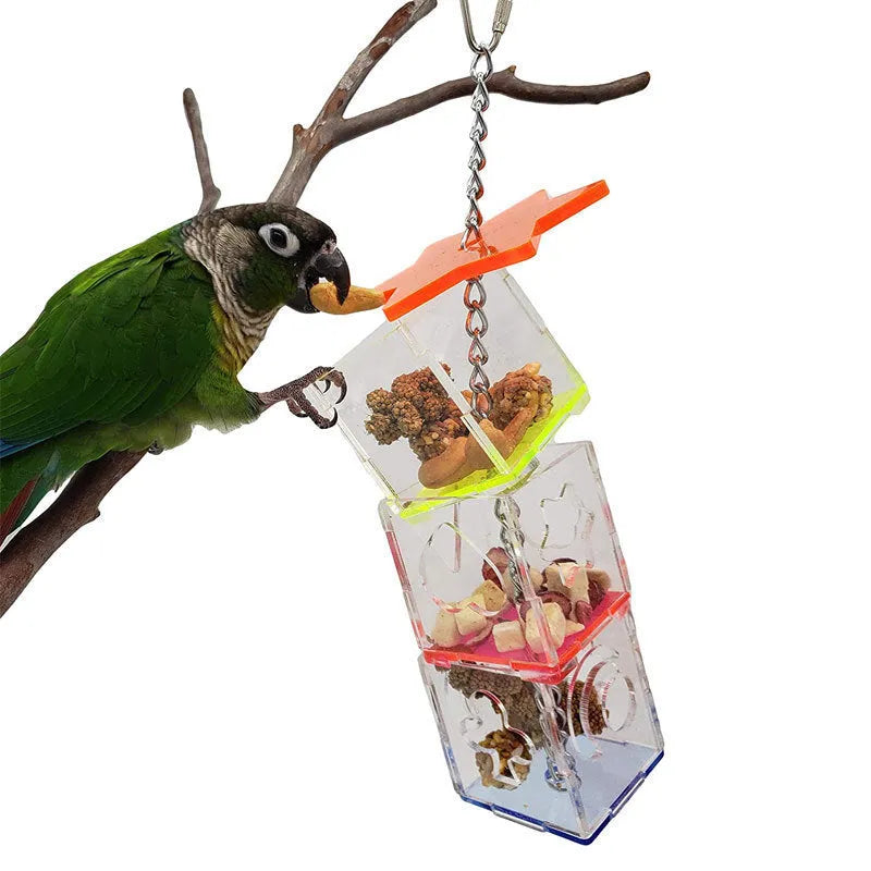 Acrylic parrot foraging toy measuring 5x5x32cm with food slots