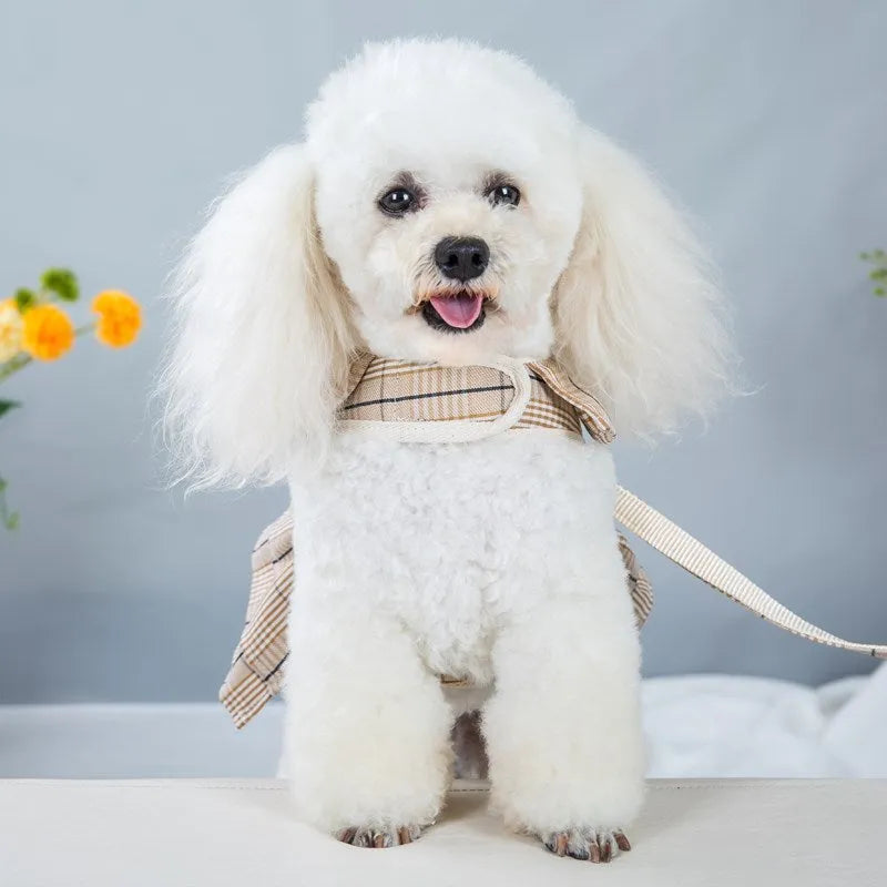 Polyester chest strap dog harness with adjustable rope lead in milky white or purple colours