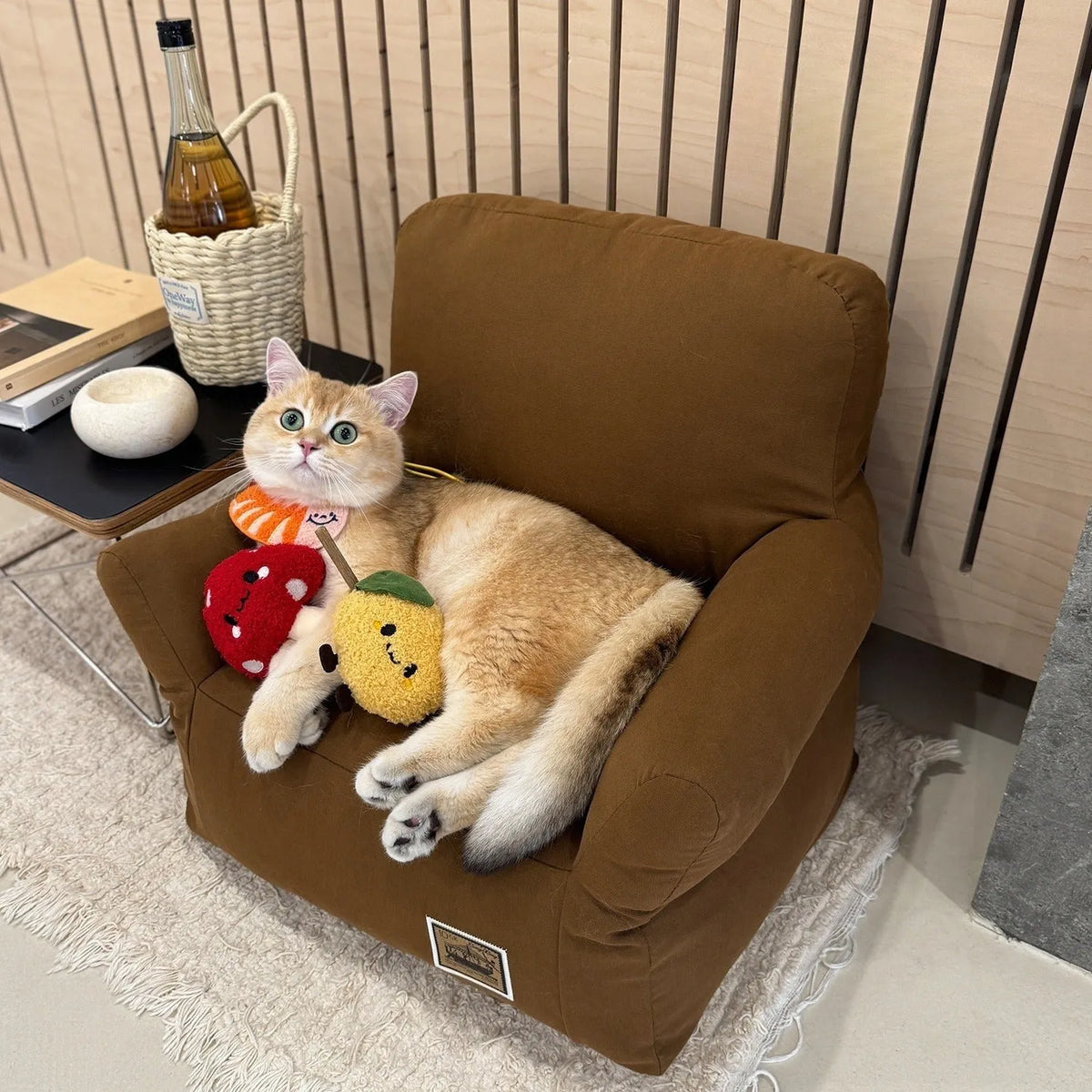 Pet children's small sofa bed with removable washable cover in white colour for cats