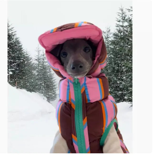 Dirty pink striped pet vest with matching hat for autumn and winter wear on small dog