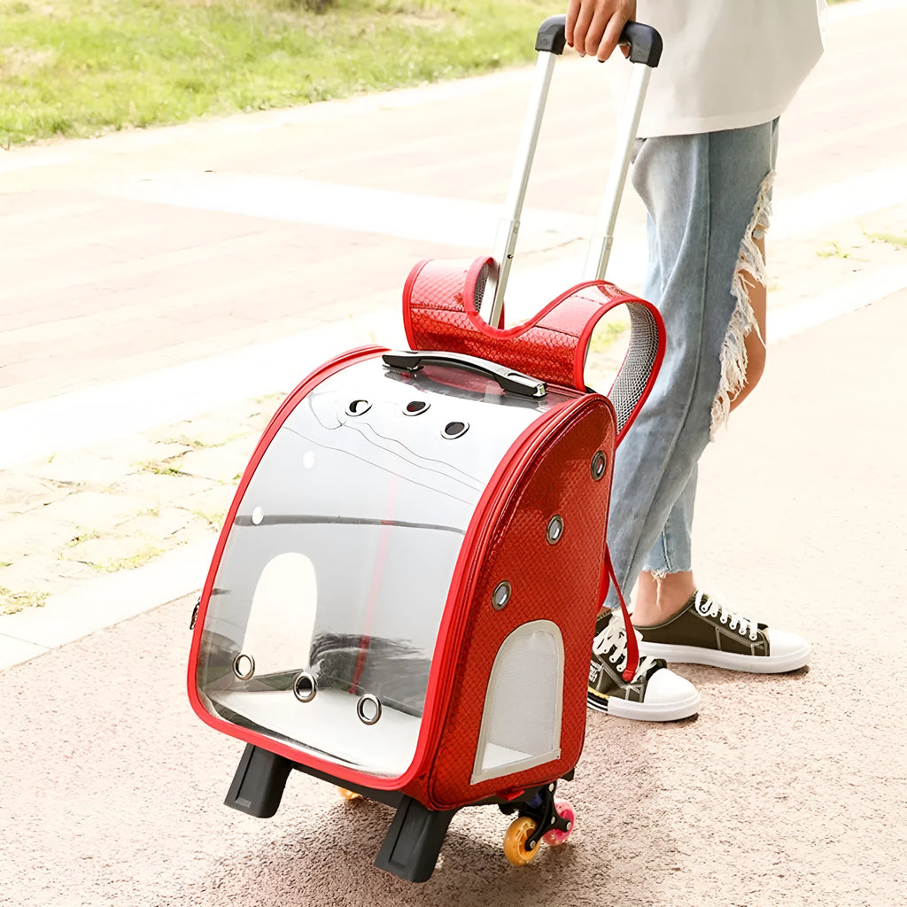 Transparent pet trolley backpack carrier for small dogs and cats with Oxford cloth and acrylic cover.