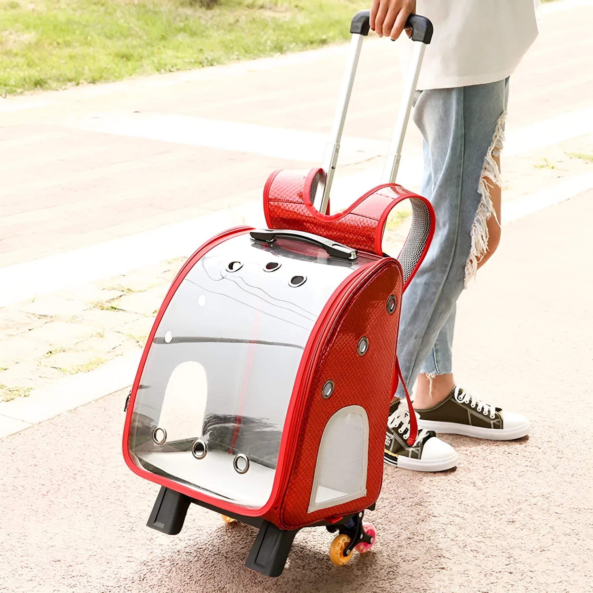 Transparent pet trolley backpack carrier for small dogs and cats with Oxford cloth and acrylic cover.