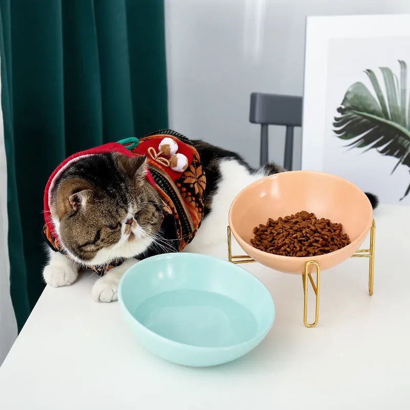 Ceramic pet bowl in blue with non-slip shelf, size M 600ml, on a wooden floor