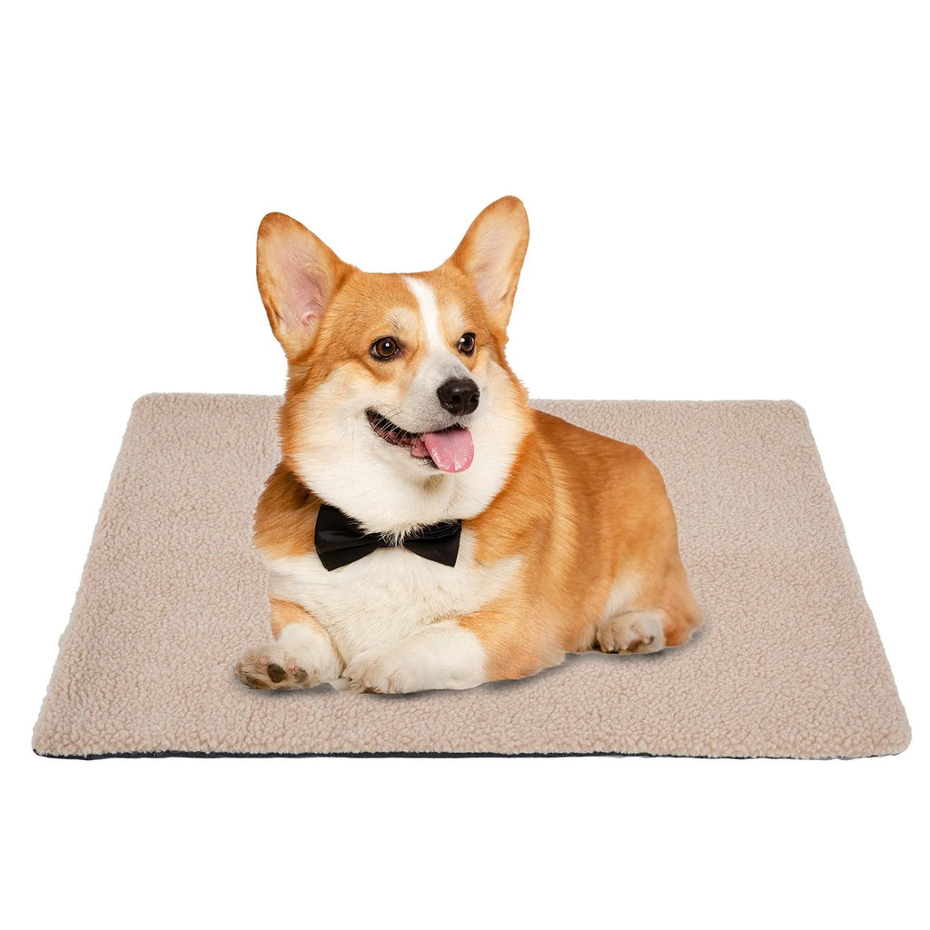 Grey self-heating pet bed with plush fabric and reflective thermal layer for indoor winter use