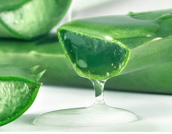 260g aloe gel face cream bottle from the Ox Horn Aloe Gel series for moisturising skin care