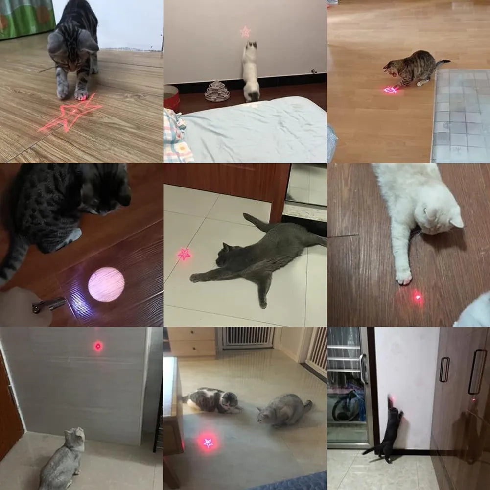USB rechargeable infrared cat teaser toy with key chain attachment