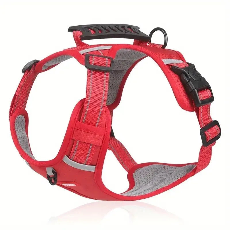 Adjustable polyester dog chest harness and lead in multiple colours on a size chart.