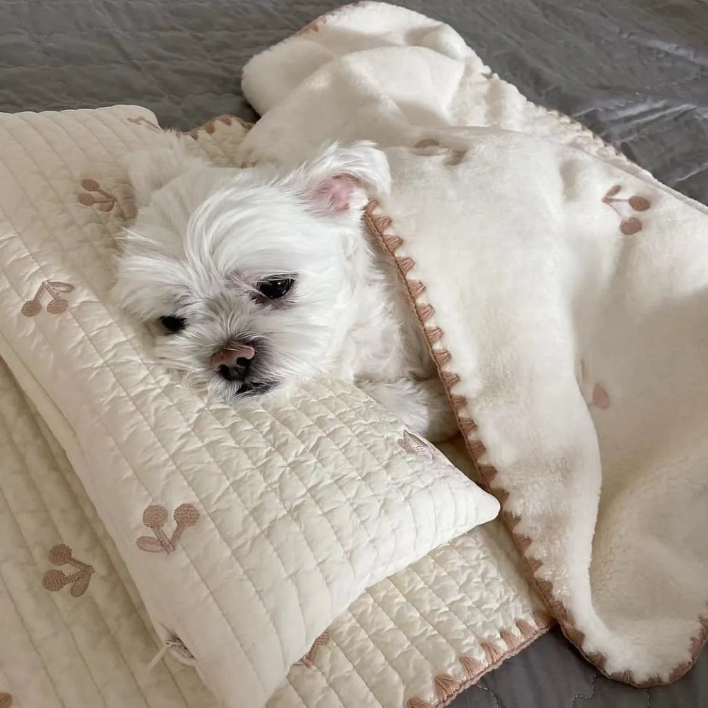Fashion square mat removable washable dog bed set with bear pattern in polyester fabric