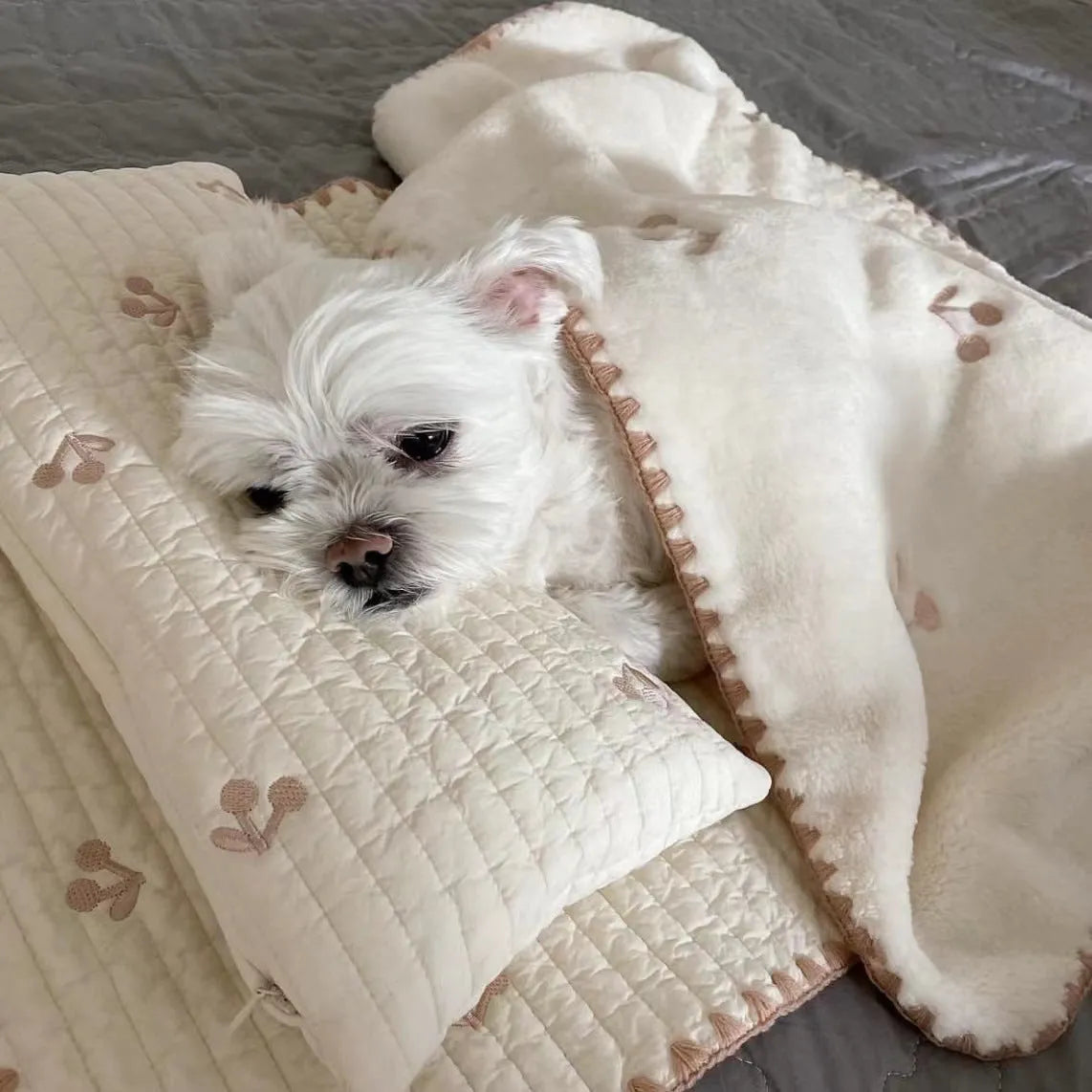 Fashion square mat removable washable dog bed set with bear pattern in polyester fabric